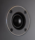 Richter Wizard S6plus Tweeter