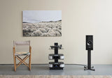 Dynaudio Contour 20 Black Edition (Pair)