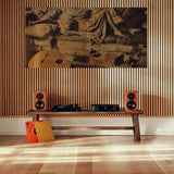 Dynaudio Legend (Pair)