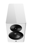 Dynaudio Focus 10 (Pair)