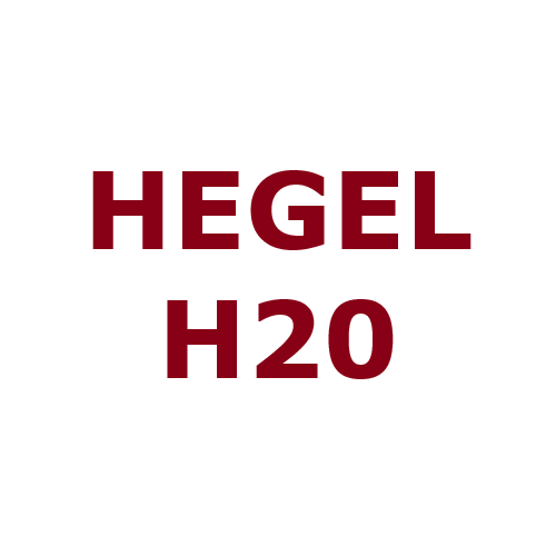 Hegel H20