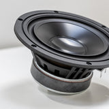 Lyngdorf FR-2 Woofer
