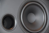 Richter Unicorn S6plus Woofer