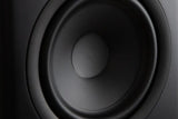 Richter Wizard S6plus Woofer