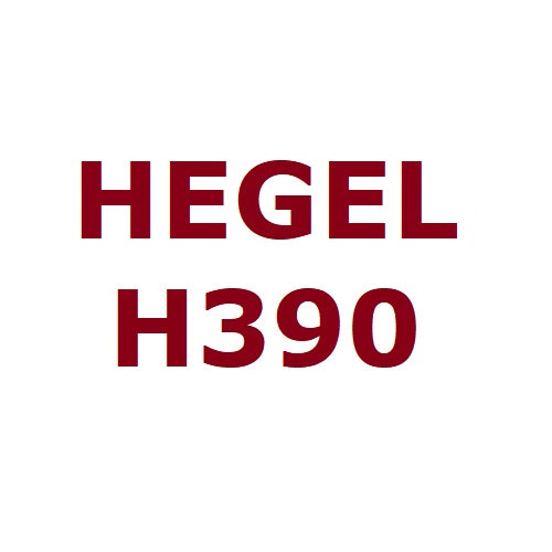 Hegel H390
