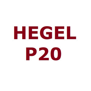 Hegel P20