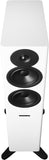 Dynaudio Evoke 30 White Top